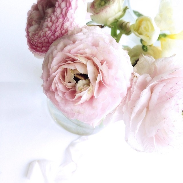 "Of all the rights of women, the greatest is to be a mother." -- Lin Yutang 🍃🌸BLESSED MOTHERS' DAY🌸🍃 to all mothers and soon-to-be mothers... May you grow in wisdom & strength, and your youth be renewed day after day! 💐💋💓💖🌟