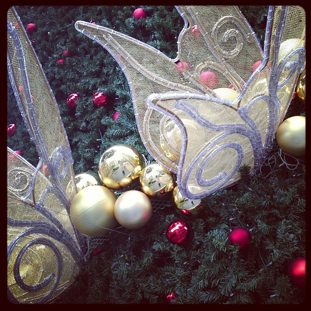 #Christmas reminds me of angels & the incredible heavenly gift of life! #holiday2013 #Christmas reminds me of angels & the incredible heavenly gift of life! #holiday2013