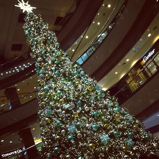 It's a #tiffany tree!!!